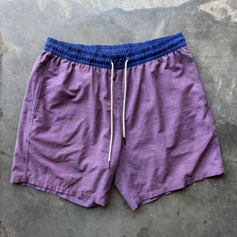 Fair Harbor Purple and Blue Swim Trunks